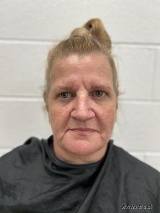 Lisa Wilson Arrest Mugshot