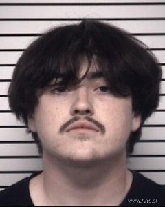 Logan Miller Arrest Mugshot