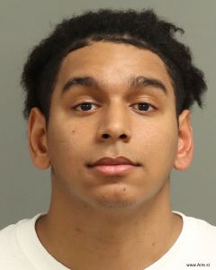 Luis Ofarrill-roman Arrest Mugshot