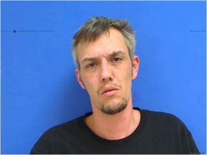 Mark Swenson Arrest