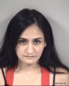 Mayela Nava Arrest