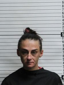 Megan Evans Arrest Mugshot