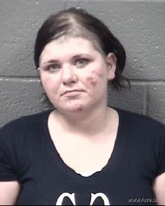 Megan Mills Arrest