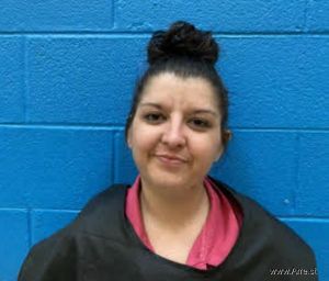 Megan Rhom Arrest