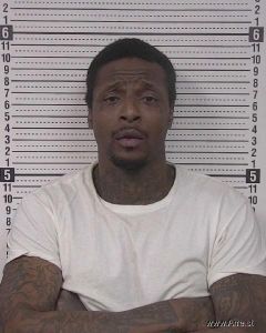 Michael Watkins Arrest
