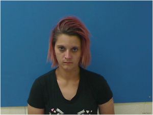 Michelle Sumlin Arrest Mugshot