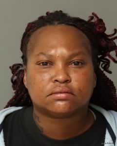 Monica Norman Arrest Mugshot