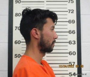 Orlin Benitez-reyes Arrest Mugshot