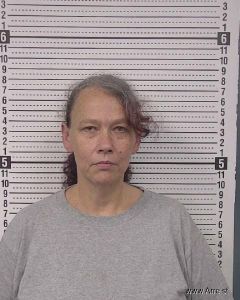 Paula Collins Arrest Mugshot