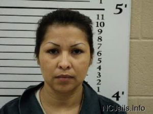 Petra Chavez-navejar  Arrest Mugshot