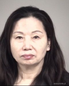 Qiu Lin Arrest Mugshot