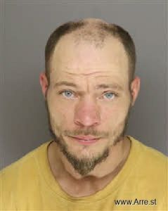 Ryan Britt Arrest Mugshot