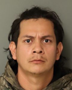 Ranferi Gonzalez Arrest Mugshot