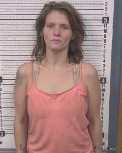 Rebecca Parton Arrest Mugshot