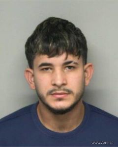 Rosnielys Torres Arrest Mugshot