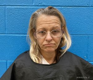 Sandra Evans Arrest Mugshot