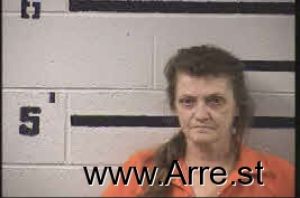 Sandra Heavener Arrest Mugshot