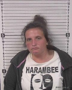 Shelby Glazebrook Arrest