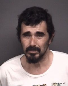 Steven Williams Arrest Mugshot