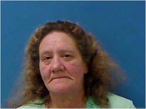 Susan Wilson Arrest Mugshot