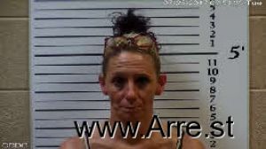 Tammy Gibson Arrest Mugshot