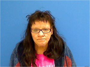 Tammy Herman Arrest Mugshot