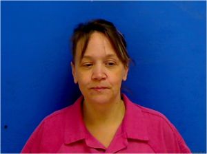 Tonya Bolick Arrest