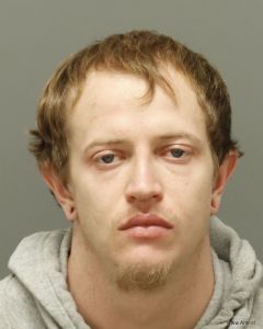 Tyler Langley Arrest Mugshot