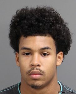 Tyson Holmes Arrest Mugshot