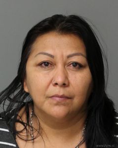 Yolanda Garcia-vasquez Arrest