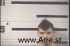 Samuel Grant Arrest Mugshot Transylvania 10/04/2018