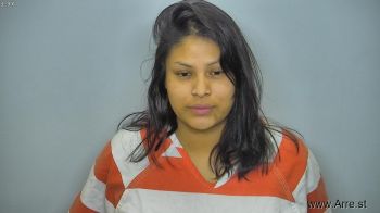 Alena Darlene Bobtailbear Mugshot