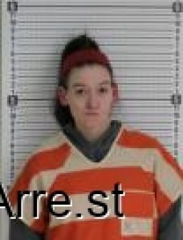 Ariel Lynn Poplawski Mugshot