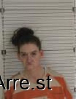 Ariel Lynn Poplawski Mugshot