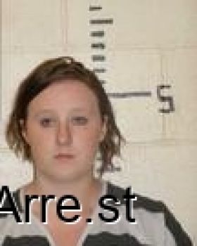 Ashley Michelle Perkins Mugshot