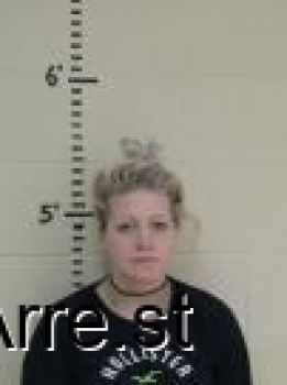 Brianna Nicole Garmann Mugshot