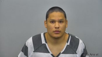 Chance Lee Lonebear Mugshot