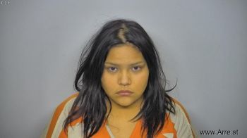 Christine Rosemarie Stone Mugshot