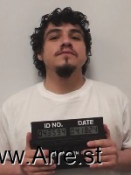 Dana Lee Yankton Mugshot