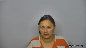 Daniella Marie Castillo Mugshot