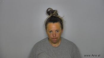 Danielle Lee Litchfield Mugshot