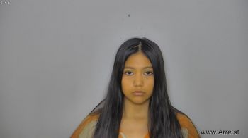 Elena Rose Johnston Mugshot