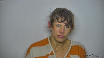 Elizabeth Lee Morgan Mugshot