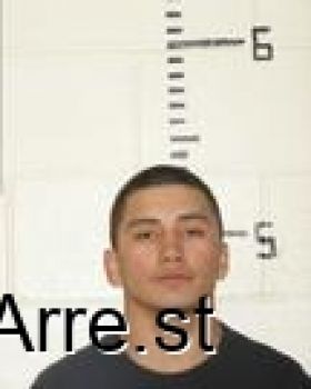 Javier Nmn Jr Flores Mugshot