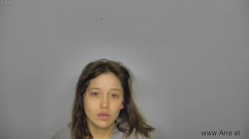 Jenifer Ashley Hollers Mugshot