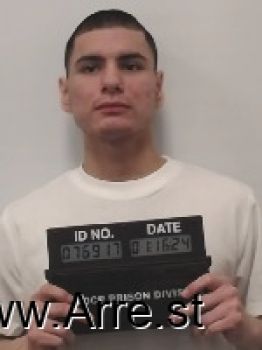 Jesse  Taylor Mugshot