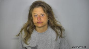 Kaylene Kristine Schaner Mugshot