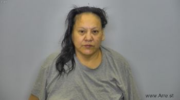 Lee Ann Brown Mugshot