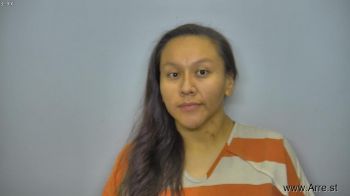 Leesa Honee Ironbull Mugshot