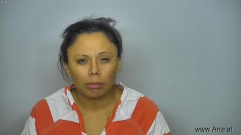 Leslie Ann Menz Mugshot